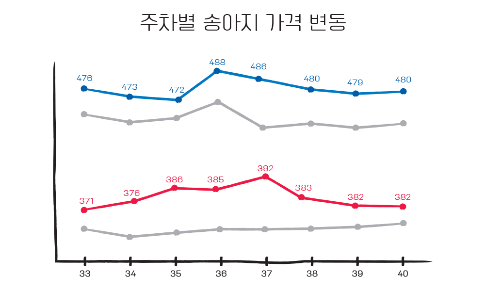 한우 가격 그래프